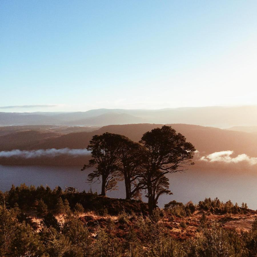 Loch Ness Backpackers Lodge ドラムナドロッキット エクステリア 写真